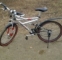 mtb