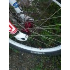 specialized bighitfsr3